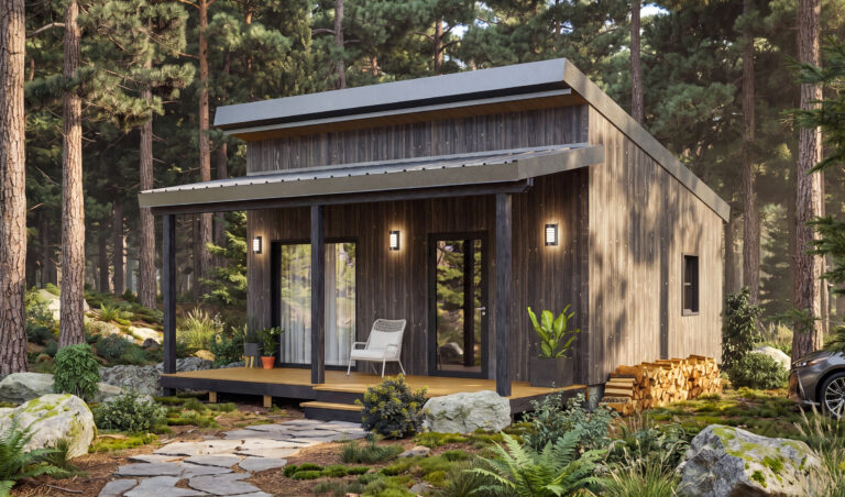 Modern 21x23 tiny house with a skillion roof and covered entry porch